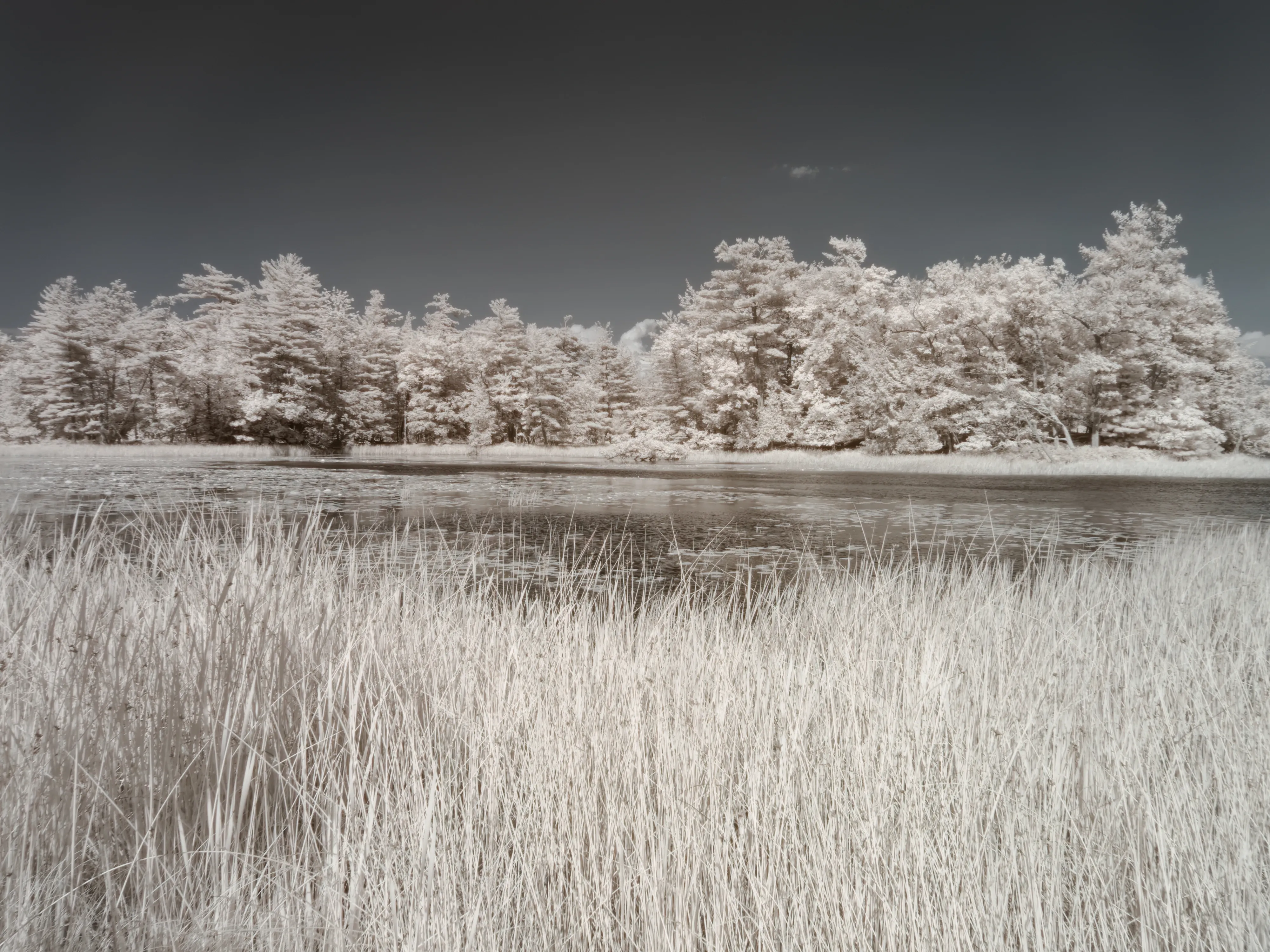 River bank