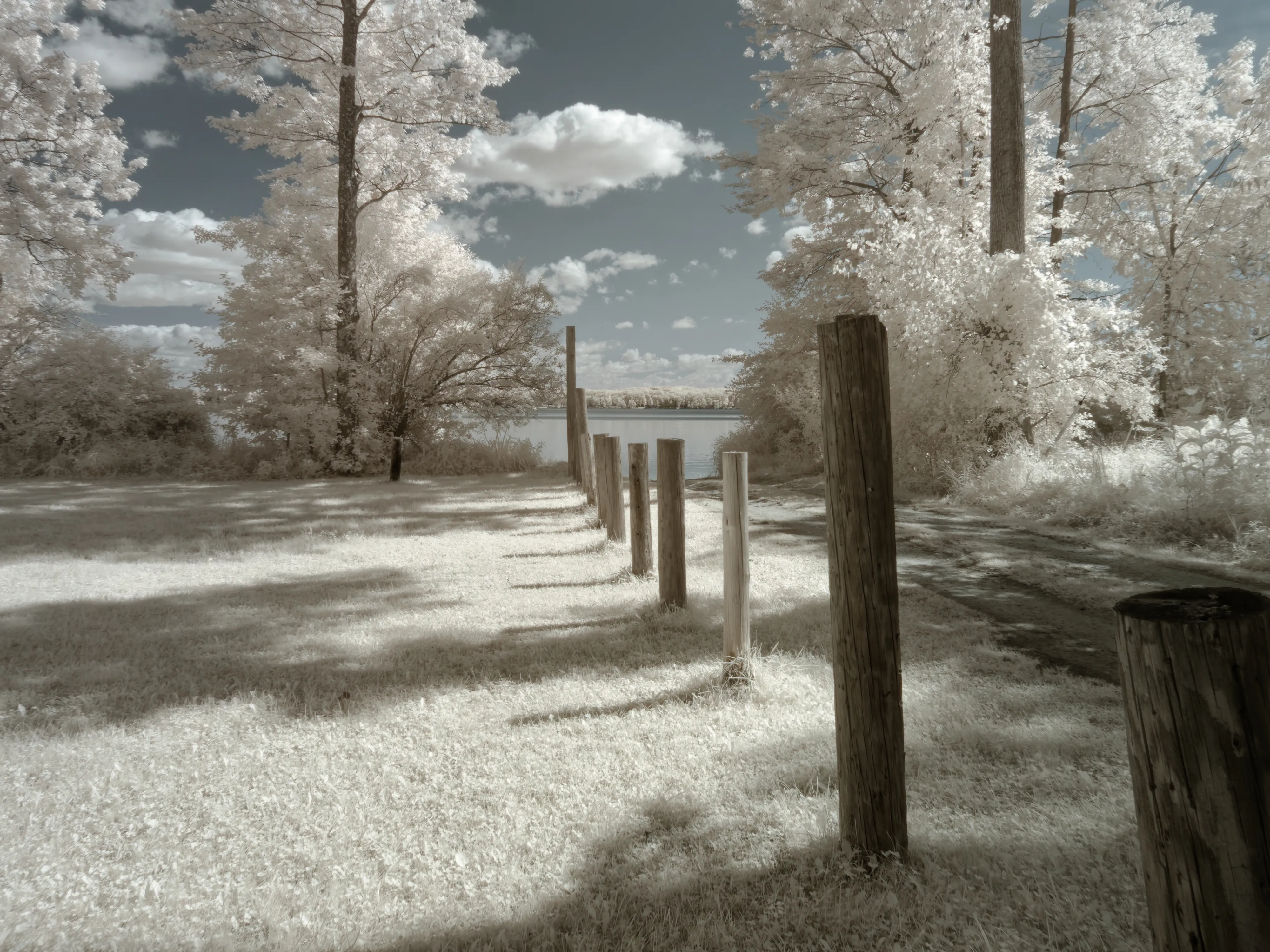 Lake access road